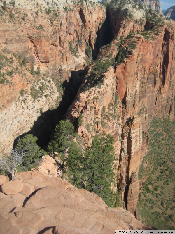 Día 11 ZION: ANGELS LANDING y THE NARROWS. - RUTA DE 24 DIAS POR LOS PARQUES NACIONALES DEL OESTE AMERICANO (3)