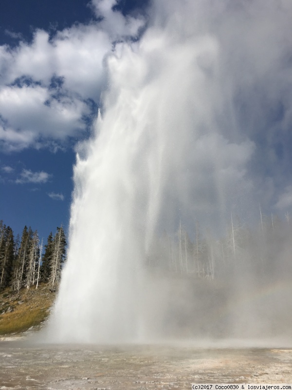 DÍA 5 YELLOWSTONE - RUTA DE 24 DIAS POR LOS PARQUES NACIONALES DEL OESTE AMERICANO (3)