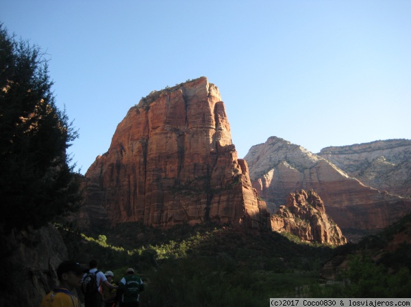 Angels Landing
Angels Landing desde abajo
