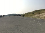 Bufalos en Yellowstone
Bufalos, Yellowstone, interrumpiendo, trafico