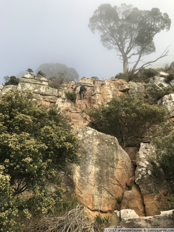 Cape Town y Garden Route - Sudáfrica y Cataratas Victoria para principiantes... (1)