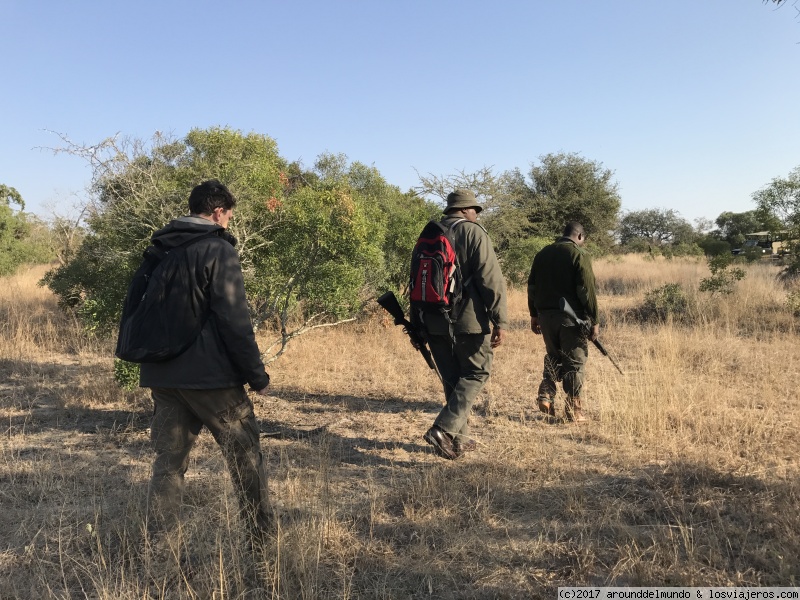 Sudáfrica y Cataratas Victoria para principiantes... - Blogs de Sudáfrica - Kruger National Park (4)