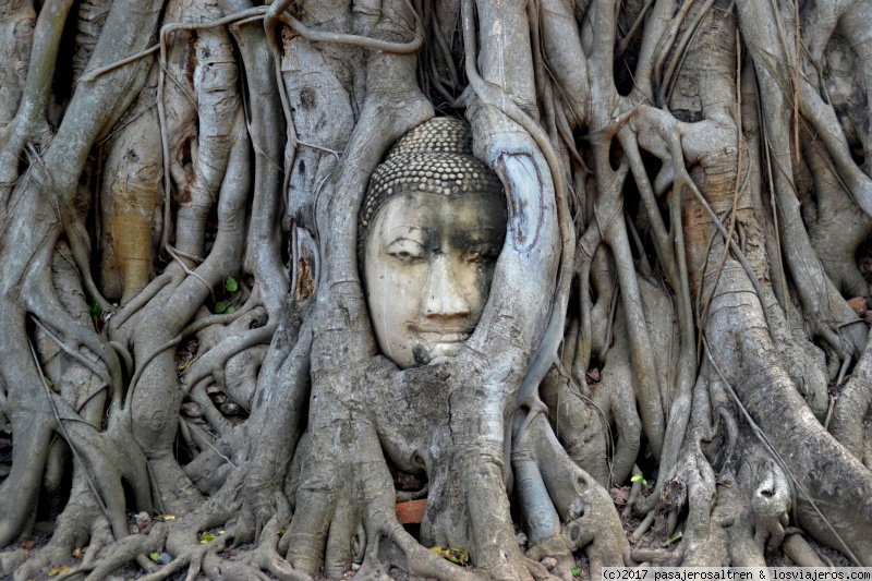 TAILANDIA en 2 semanas - Blogs de Asia - DÍA 3 - Ayutthaya (2)
