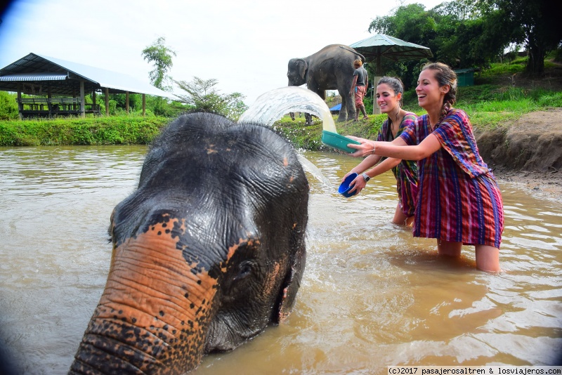 DIA 5 - Elephant Retirement Park, Chiang Mai - TAILANDIA en 2 semanas (4)