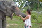 Elephant Retirement Park