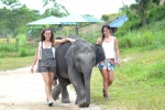 Elephant Retirement Park