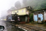 Calle de DARJEELING