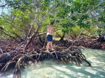 Manglares de Cayo Jutías