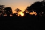 Atardecer en Serengeti