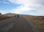 Carretera Isla de Pascua