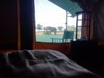 Luxury Accommodation in the Masai Mara
Masai Mara, Kenya Safari, Elephant, Wildlife