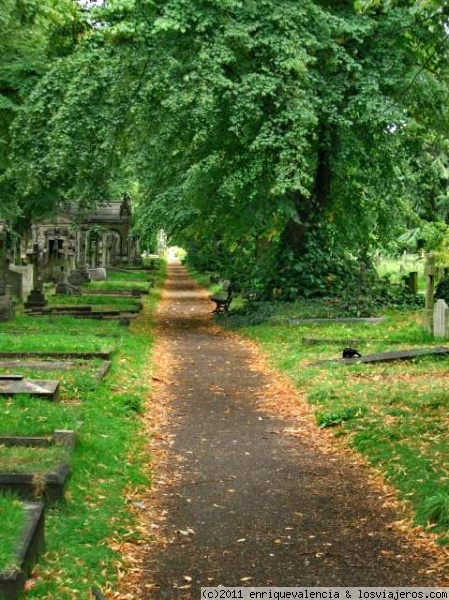 Camino a la tumba. Cementerio Brompton en Londres
Si te salias del pasillo central, aunque había mucha gente te podías ver totalmente solo pues el cementerio es muy grande
