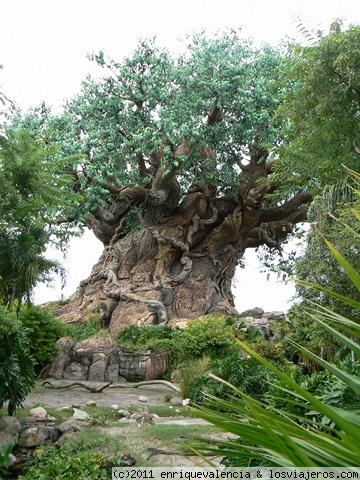 El Arbol de la Vida en Animal Kingdom Walt Disney World Orlando
Edificio central del parque. Su estructura interior es una plataforma petrolífera, donde hay una atracción. Uno de los cuatro parques principales de Disney en Orlando
