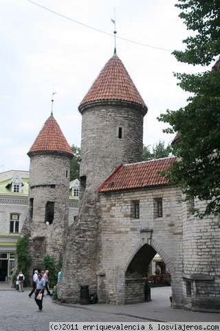 Puerta Viru. Tallinn
Una de las puertas de acceso a la ciudad vieja.
