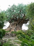 El Arbol de la Vida en Animal Kingdom Walt Disney World Orlando