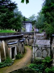 Otra vista del Círculo del Líbano en Highgate