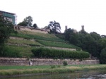 Dresde - Viñedos y Palacio Eckberg
