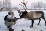 Reno campamento Nutti Sámi Siida