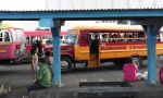 Apia, Samoa, Estacion de autobuses