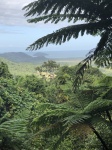 Mirador en Daintree