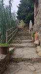 Escaleras mirador Vernazza