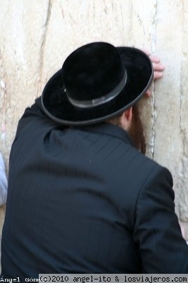 Judio Ortodoxo.
Judio rezando en el muro de las lamentaciones.
