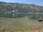 Puerto de Kotor