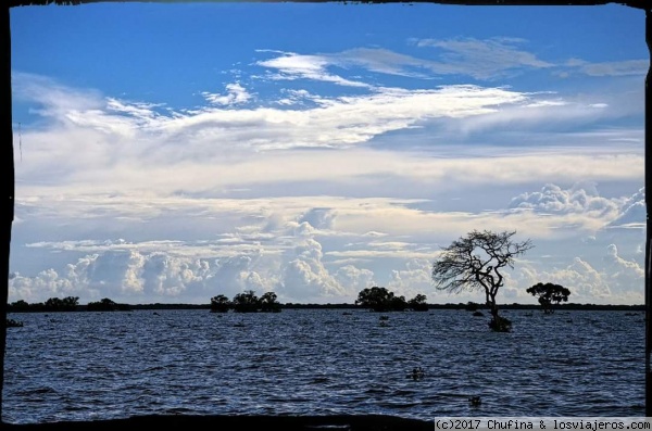 Nubes en el Tonle Sap
Árboles en el mayor lago del país
