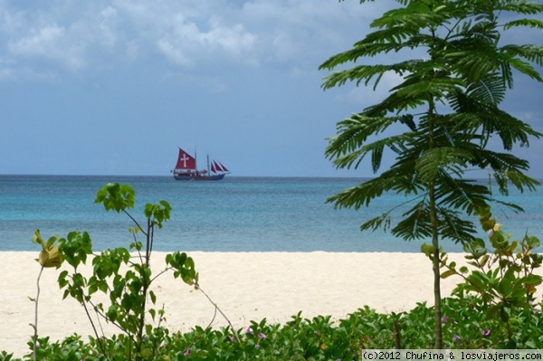 Piratas del Caribe
Auténticos piratas del Caribe en una playa de Barbados!
