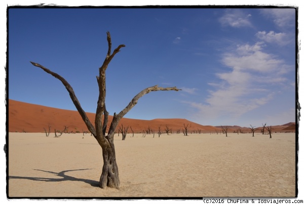 Naturaleza muerta en Dead Vlei
Una de las estampas más típicas de Namibia, pero no por ello menos espectacular y recomendable. Paraíso de cualquier fotógrafo.
