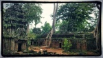 Ta Prohm
Prom, naturaleza, reclamado, templo, dejando, estampas, curiosas, como, esta