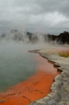 Champagne Pool