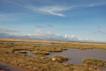 Charcas de Amboseli
Charcas, Amboseli, Kenia