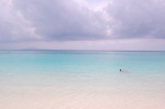 Bamboo island