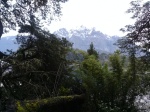 Lago, montaña y bosque