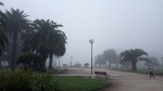 Mar del Plata con niebla