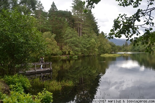 PASEANDO POR EL LAGO EN GLENCOE
Camino que bordea un lago con embarcaderos y bosques preciosos. Uno de los recorridos mas románticos que se pueden hacer en Escocia.
