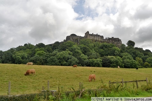 CASTILLO DE STIRLING Y VACAS DE LAS HIGHLANDS
Vistas del Castillo de Stirling en lo alto de la ciudad
