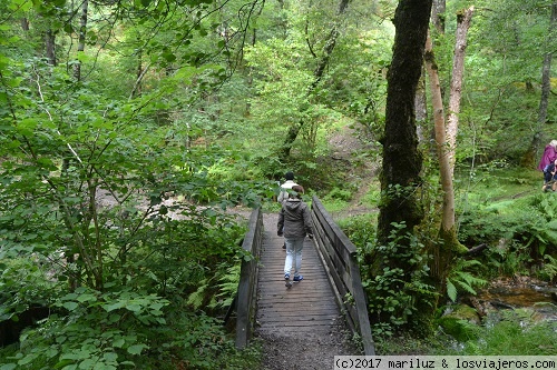 KINLOCHLEVEN. CAMINO A LAS CATARATAS
Paseo hasta las cataratas desde el pueblo de Kinlochleven
