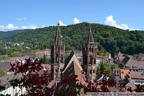 SELVA NEGRA EN AGOSTO - Blogs de Alemania - CUARTA ETAPA.- ALSACIA (2)