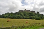 CASTILLO DE STIRLING Y VACAS DE LAS HIGHLANDS