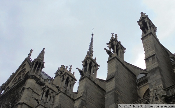 Las gárgolas de Notre Dame
Siento no poder subir más fotos de Notre Dame porque me sale que son demasiado grandes...
