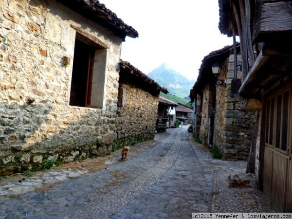 Calle de Soto de Agues (Asturias)
La piedra es el  elemento principal en las casas de Soto de Agues (Asturias)
