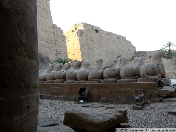 Avenida de las esfinges en karnak
Cuartos traseros de la avenida de las esfinges en Karnak
