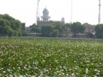 Que verde era mi....lago.- (India)