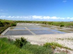 Salinas en la Isla de Re. Charente-Maritime