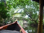 Canales en Allepey - India
Canales backwaters en Allepey