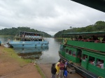 Parque Nacional de Periyar. India
Parque Nacional de Periyar. India