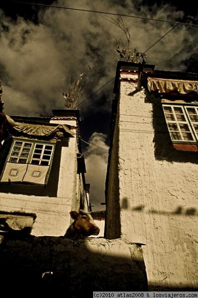 Gyantse, Tíbet.
Casas estilo tibetano.
