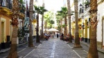 Calle Virgen de la Palma - Cádiz
